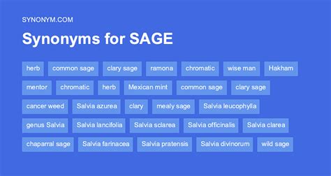 wager synonym|another name for sage.